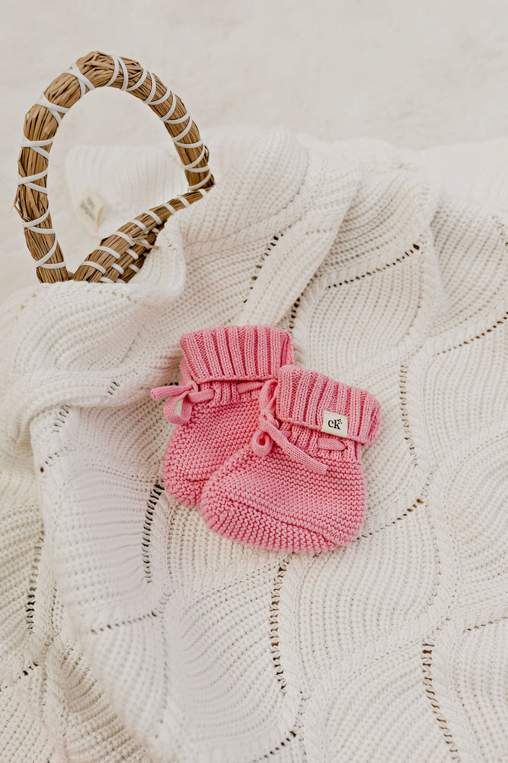 Seashell Bloom Dream Bundle