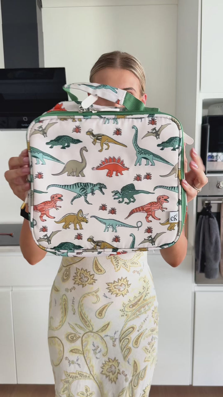 Dino Land - Insulated Lunch Bag