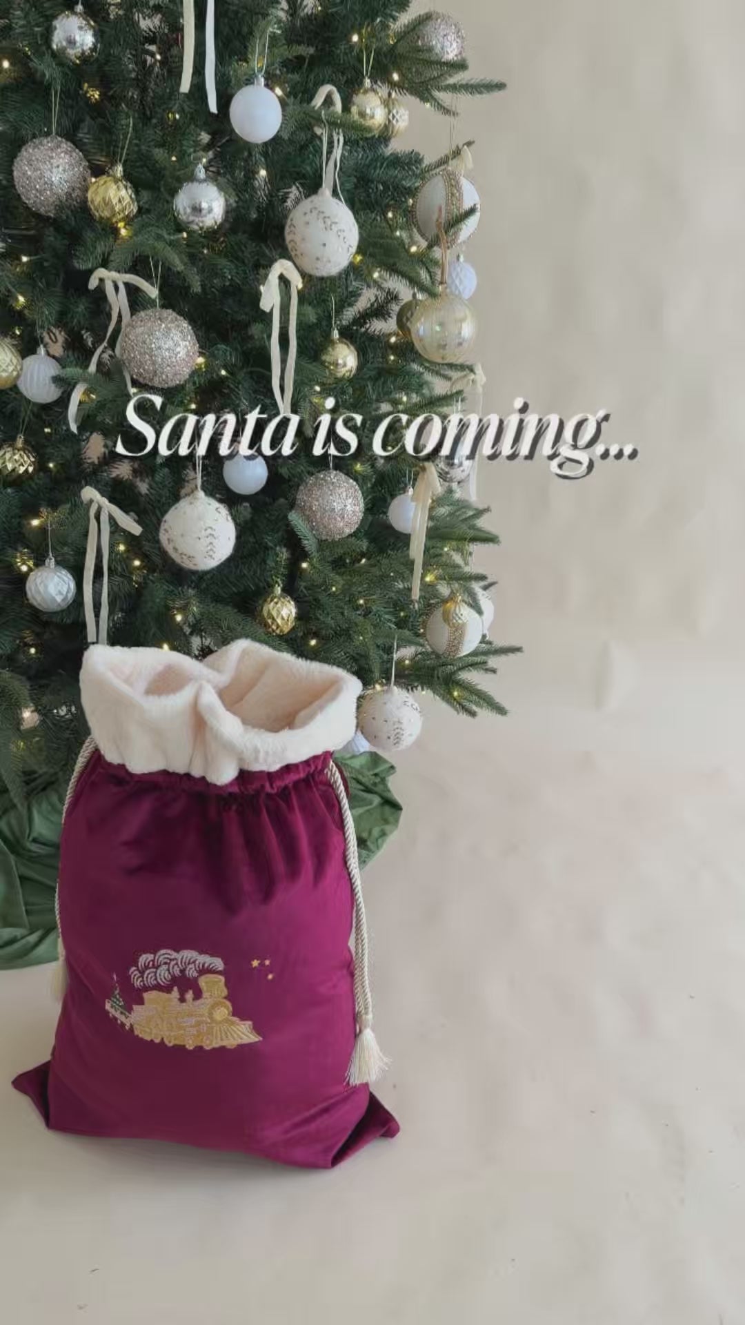 Deluxe Embroidered Santa Sack | Polar Express